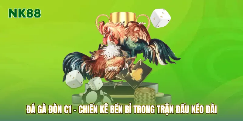 Đá gà đòn C1 – Chiến kê bền bỉ trong trận đấu kéo dài